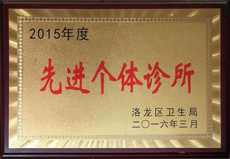 洛龙区政府颁发奖牌